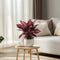 Plant in a Box - Iresine Herbstii 'Red' - Set van 2 - Biefstukplant Rood - Kamerplant - Pot 13cm - Hoogte 20-30cm