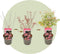 Plant in a Box - Japanese Maple 'Taylor' - Japanse Esdoorn winterhard - Limited edition Acer boom - Pot 19cm - Hoogte 50-60cm