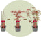 Plant in a Box - Japanse Esdoorn bomen winterhard - Set van 8 - Acer palmatum 'Atropurpureum', 'Going Green', 'Orange Dream', 'Butterfly' - Pot 10,5cm - Hoogte 25-40cm