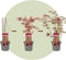 Plant in a Box - Japanse Esdoorn - Set van 3 - Pot 19cm - Hoogte 60-70cm - Acer palmatum 'Atropurpureum', 'Beni Maiko' & 'Orange Dream' - Winterhard