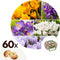 Plant in a Box - Krokus Mix - 60x krokusbollen winterhard - Krokussen vroegbloeiers voor in de tuin - Omtrek bloembollen 7cm