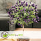 Plant in a Box - Lavandula stoechas 'Anouk' - Set van 2 - Lavendelboom - Pot 15cm - Hoogte 45-55cm - Winterhard - Tuinplanten