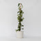 Plant in a Box - Lonicera henryi 'Copper Beauty' - Kamperfoelie - Tuinplant - Klimplant - Geel - ⌀17cm - Hoogte 110-120cm