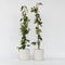 Plant in a Box - Lonicera henryi 'Copper Beauty' - Set van 2 - Kamperfoelie - Tuinplant - Klimplant - Geel - ⌀17cm - Hoogte 110-120cm