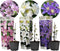 Plant in a Box - Mix van 3 Clematis - Clematis hybrid 'Mme Le Coultre', 'Hagley Hybrid', 'Polish Spirit' - Pot 9cm - Hoogte 25-40cm