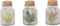 Plant in a Box - Mix van 3 Tillandsia - Luchtplantjes in glazen deco flesje