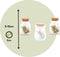 Plant in a Box - Mix van 3 Tillandsia - Luchtplantjes in glazen deco flesje