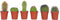 Plant in a Box - Mix van Mini Cactussen - Mix van 6 stuks - Echte Cactusplanten - Pot 5,5cm - Hoogte 5-10cm
