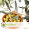 Plant in a Box - Olea Europaea - Set van 2 - Winterharde olijfstruiken - Pot 14cm - Hoogte 25-40cm