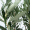 Plant in a Box - Olea Europaea - Set van 4 - Winterharde olijfstruiken - Pot 14cm - Hoogte 25-40cm