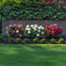 Plant in a Box - Paeonia officinalis - Mix van 3 Pioenrozen - Rood, Roze, Wit - Boerenpioen - Pot 9cm - Hoogte 0-40cm