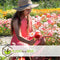 Plant in a Box - Papaver Orientale - Mix van 20 - Oosterse klaproos - Wortelstokken - Bloeiende vaste plant