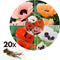 Plant in a Box - Papaver Orientale - Mix van 20 - Oosterse klaproos - Wortelstokken - Bloeiende vaste plant