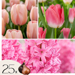 Plant in a Box - Pink Blush - 25 st. - Tulpa, Hyacint - Bloembollen - Roze