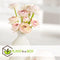 Plant in a Box - Ranunculus - Mix van 40 - Ranunculus bloembollen - Pastelkleuren - Zomerbloeiers - Knollen - Verschillende kleuren