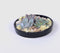 Plant in a Box - Rootless - Echeveria Garden Mix Black - vetplanten op decoratieve schaal - Zwart - 20 cm