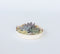 Plant in a Box - Rootless - Echeveria Garden Mix White - vetplanten op decoratieve schaal - Wit - 20 cm