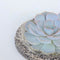 Plant in a Box - Rootless - Echeveria Koala Bowl - vetplant/succulent op decoratieve schaal - Grijs - 20 cm