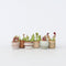 Plant in a Box - Sarracenia purpurea - Vleesetende plant - Set van 6 - Bekerplant - Kamerplant - Pot 5,5cm - Hoogte 10-15cm