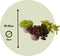 Plant in a Box - Sedum reflexum aurea, reflexum angelina, spurium purpur winter - Mix van 9 - Pot 12cm - Hoogte 10-15cm