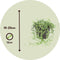 Plant in a Box - Senecio Radicans - String of Bananas - Hangplant - Groene kamerplant - Pot 12cm - Hoogte 10-20cm