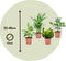 Plant in a Box - Set 'Groen Kwartet' - Areca, Asplenium, Clusia, Musa - Set van 4 - Kamerplanten - Pot 12cm - Hoogte 25-40cm