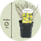 Plant in a Box - Set van 2 Potentilla Kobold - Pot 17cm - Hoogte 20-30cm - Potentilla fruticosa