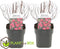 Plant in a Box - Spiraea japonica 'Anthony Waterer' - Set van 2 - Pot 17cm - Hoogte 25-40cm - Winterhard - Tuinplanten