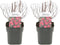 Plant in a Box - Spiraea japonica 'Anthony Waterer' - Set van 2 - Pot 17cm - Hoogte 25-40cm - Winterhard - Tuinplanten