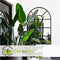 Plant in a Box - Strelitzia Nicolai - Set van 2 - Paradijsvogelbloem - Paradijsvogelplant - Groene kamerplant - Pot 17cm - Hoogte 55-70cm