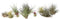 Plant in a Box - Tillandsia - Mix van 10 - Luchtplantjes - Kamerplanten - Decoratief - Hoogte 5-15cm