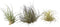 Plant in a Box - Tillandsia - Mix van 3 - Luchtplantjes - Kamerplanten - Decoratief - Hoogte 5-15cm