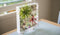 Plant in a Box - Tillandsia - Mix van 6 - Luchtplantjes - Kamerplanten - Decoratief - Hoogte 5-15cm