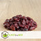 Plant in a Box - Vaccinium macrocarpon Cranberry - Set van 3 - Eetbare cranberry's - Winterharde planten - Pot 9cm - Hoogte 10-20cm