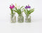 Plant in a Box - Vanda 'Bose' in vaas - Orchidee - Wit - Hoogte 45cm