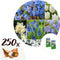 Plant in a Box - Voorjaars bloembollen mix Blue - 250x bloembollen - Combinatie van 6 verschillende soorten bloembollen met blauwe en witte bloemen voor in de tuin - Omtrek bloembollen 10cm