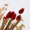 Plant in a Box - Winter Glamour Droogboeket - droogbloemen - hoogte 35 cm