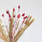 Plant in a Box - Winter Glamour Droogboeket - droogbloemen - hoogte 35 cm