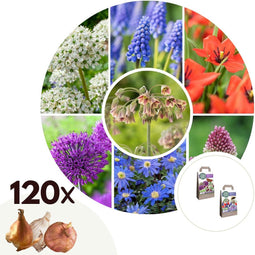 Plant in Box - Happy Bee & Butterfly Mix - Bloembollen x120 - Aantrekkelijk voor Bijen & Vlinders - Bloembollen voor Tuin, Terras en Balkon