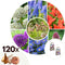 Plant in Box - Happy Bee & Butterfly Mix - Bloembollen x120 - Aantrekkelijk voor Bijen & Vlinders - Bloembollen voor Tuin, Terras en Balkon