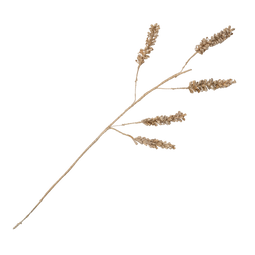 Planta decorative Cereal 5-stem Natural / Banana leaf