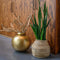 Planta decorative Cereal 5-stem Natural / Banana leaf