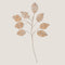 Planta Delicado decorative flower 8 stem Natural / Banana leaf