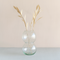 Planta Olive, 13 petals Natural / Palm leaf