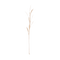 Planta Olive, 8 petals Natural / Palm leaf