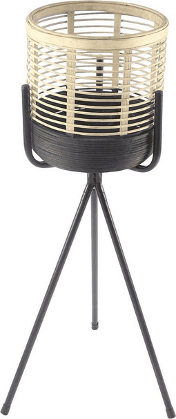 Planten standaard Tiger small
