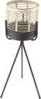 Planten standaard Tiger small