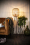 Planten standaard Tiger small