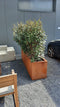 Plantenbak Artesa Cortenstaal 1200x400x400mm (LxBxH) - Materiaaldikte 2mm. Voorzien van verstevigingskokers aan de binnenkant. Voorzien van bodem met afwateringsgaten. Pootjes 15 mm hoog. Omplooi bovenrand 50mm.