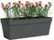 Plantenbak - Kunststof - Antraciet - Rechthoekig - L49,9 x D20 x H18,1 cm - ARTEVASI